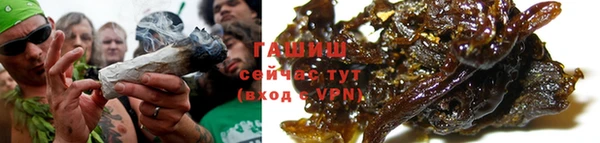 спайс Гусев