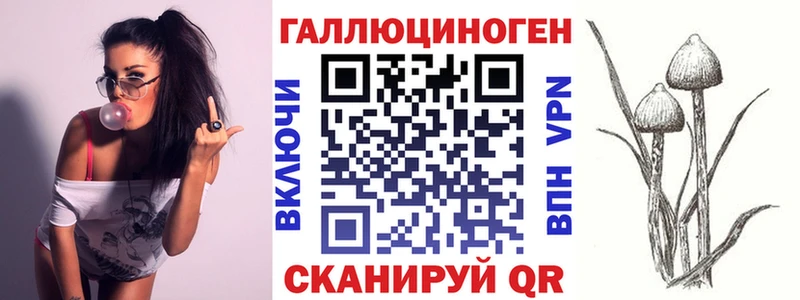 Псилоцибиновые грибы Psilocybine cubensis Кириллов